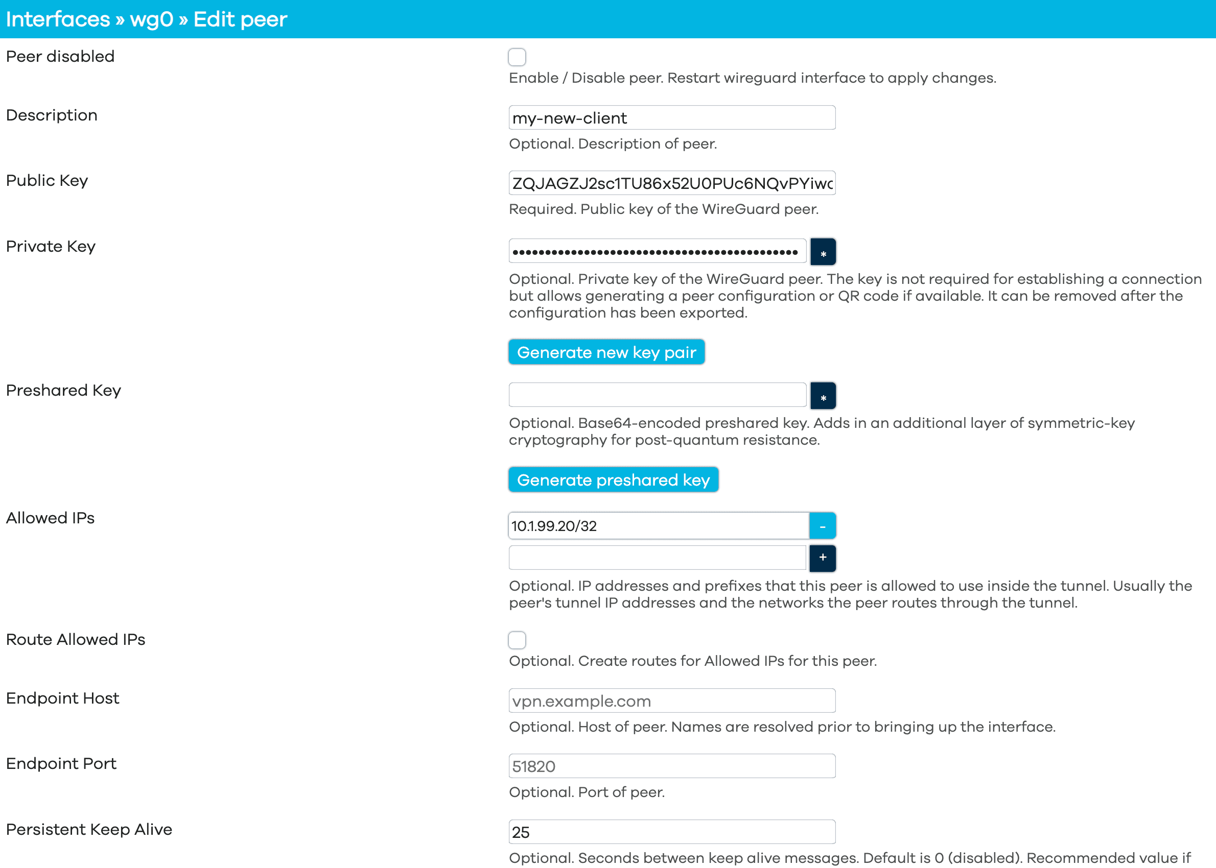 WireGuard VPN peer settings